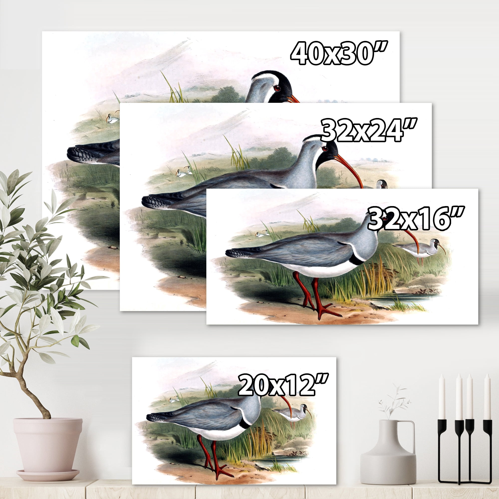 Vintage Countryside Birds In Wild 8 in x 12 in Painting Canvas Art Print, by Designart