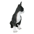 thumbnail image 2 of Large Realistic Tuxedo Boston Terrier Statue 15"Tall Animal Dog Collectible, 2 of 9