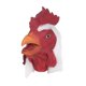 thumbnail image 2 of Máscara de cabeza de pollo para Halloween para adultos y niños. Máscara de animal de para cumpleaños., 2 of 8