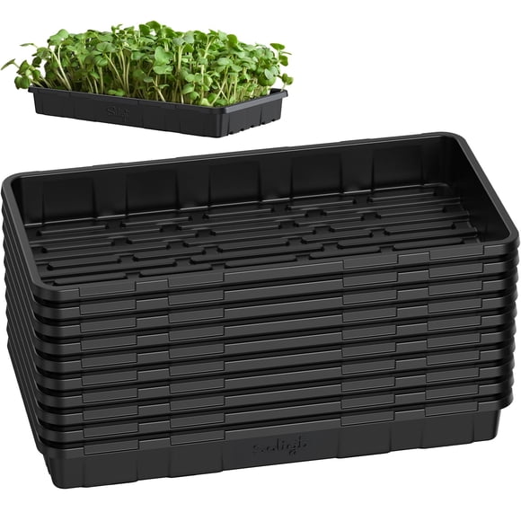 Bandejas para germinación de semillas SOLIGT, paquete de 10, extra resistentes, 53 x 27 x 6,5 cm