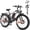 White, variant on KAIJIELAISI Adults Dual Motor Electric Bike, Peak 4000W 26 Inch Fat Tire Electric Mountain Bike, 48V 22.4AH Removable Battery, Dual Hydraulic Brakes 21-Speed Ebike