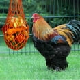 thumbnail image 4 of Chicken Vegetable String Bag Poultry Fruit Holder Chicken Cabbage Feeder Treat Feeding Tool with Hook for Hens Chicken Coop Toy for Hen Goose Duck, 4 of 7