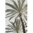 thumbnail image 2 of Studio III 23x32 White Modern Wood Framed Museum Art Print Titled - Studio III - Palm 005, 2 of 4