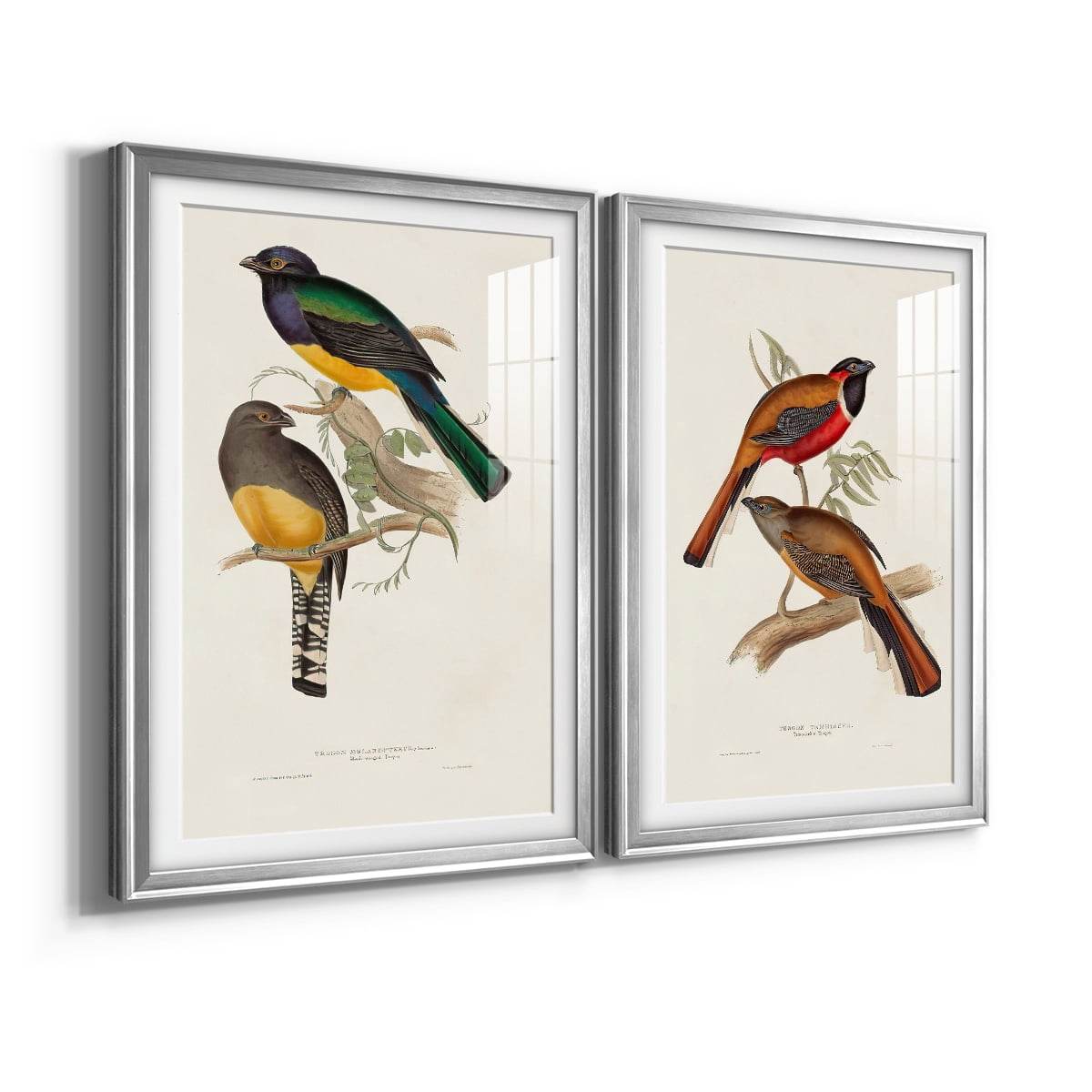 Wexford Home Elegant Trogons III Premium Framed Print, 18.5" x 24.5" - Ready to Hang, Silver (Set of 2)