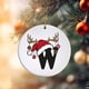 thumbnail image 5 of Adornos navideños, adornos navideños, regalos navideños, adorno con nombre y letra, adorno con inicial familiar, adorno personalizado, adorno navideño con nombre familiar, etiqueta acrílica para regal, 5 of 9