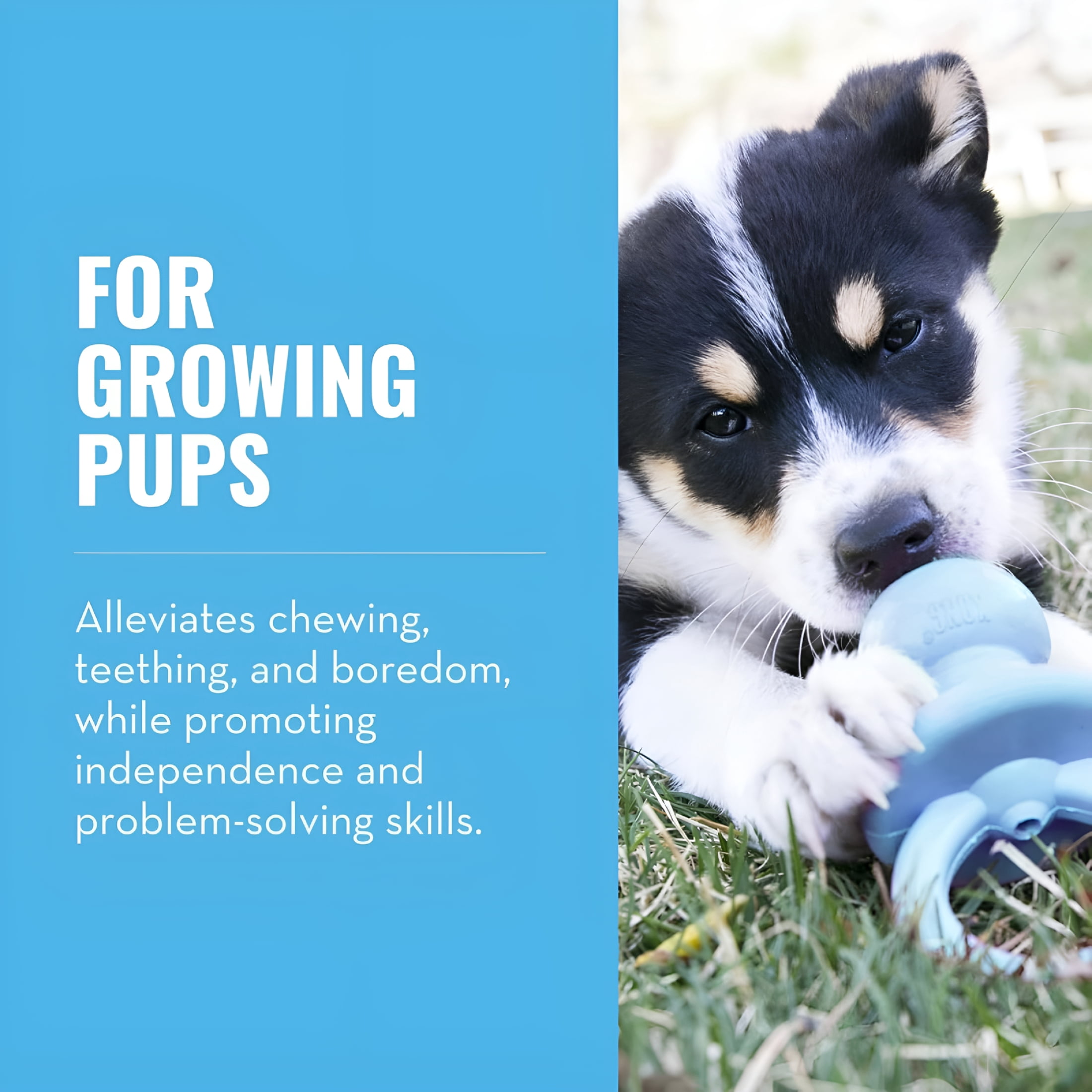 BESTSKY 2026 New (3 Pack) Puppy Binkie Dog Toy, Puppy Chew Toys for Teething, Small for Chewing, Teething, Training, Play, Indoor (Colors Vary) 3Pk