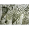thumbnail image 4 of (Blue)Print Abstract Floral Painting Core Wall Decor Photo Art Picture, 4 of 5