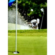 Avanti Press Golf Dog Sand Trap Cute Father's Day Card
