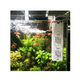 thumbnail image 5 of Filtro Interno Pecera 350 Lts Belug Blanco, 5 of 5