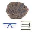thumbnail image 1 of Juguetes de excavación Sunnimix, 1 of 5