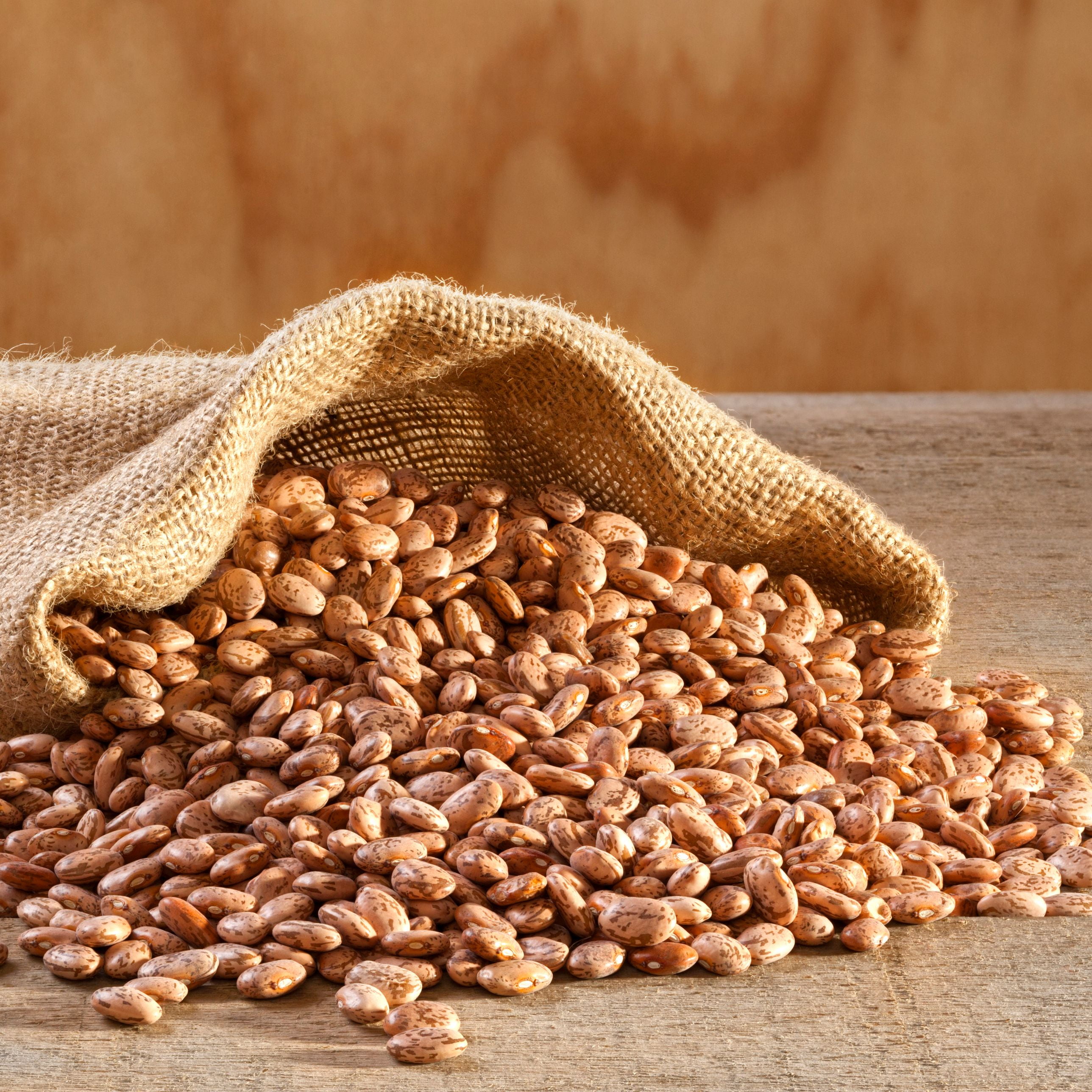 Augason Farms Dried Pinto Beans 4 Gallon Pail, Bulk Food Storage, Emergency Food Supply, Everyday Meals, 311 Servings