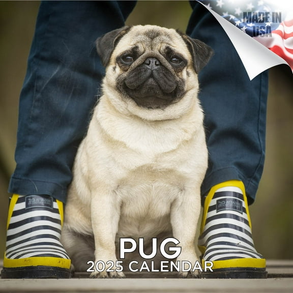 2025 2026 Pug Calendar - Dog Breed Monthly Wall Calendar - 12 x 24 Open - Thick No-Bleed Paper - Giftable - Academic Teacher's Planner Calendar Organizing & Planning - Made in USA