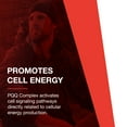 thumbnail image 3 of Protocol PQQ Complex - CoQ10, Acetyl-L-Carnitine, Vitamin B12 - Energy - 30 Veg Caps, 3 of 8