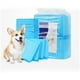 thumbnail image 2 of Wdftyju 20 piezas de pañales desechables gruesos para mascotas, almohadilla de orina de entrenamiento súper absorbente para perros Wdftyju 2jx4bu8dt7mh1xb3, 2 of 6