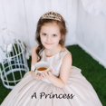 thumbnail image 5 of Sparklane Pink Birthday Crown and Sash Set, Women's Princess Birthday Accessory, One Size, Female, Girls, 5 of 8
