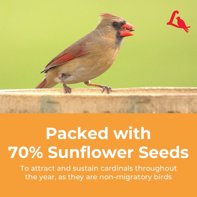 Lyric Cardinal Sunflower & Safflower Mix Wild Bird Food, 3.75 Lb photo 7