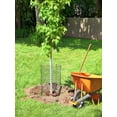 thumbnail image 4 of Garden Plant Protectors,Large Wire Plant Protector from Animals,6 Pack Metal Plant Cage Chicken Wire Cloche with Ground Stakes and Nylon Tie to Keep Animals Out,Garden Protection Bunny Barricade, 4 of 6