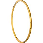 BOX Components Focus Front Rim 24 Hole 451mm x 12mm Wide Gold