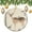 Pattern-1, variant on Christmas Ornament FOREST ANIMALS LION Floral Double Sided Porcelain 3 Inch Watercolor Woodland Animal Holiday Ornament for Home Christmas Tree Decor for Family Friend