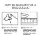 thumbnail image 4 of Gzmzc Collar De Cadena Para Perro De Acero Inoxidable Pulido, 4 of 7