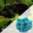 thumbnail image 2 of Moss Preserved Artificial Moss 8.8 oz Natural Fresh Green Moss for Craft Arts Floral Project Wall Decor Table Decor Wedding Centerpieces Garden Terrariums Decoration, 2 of 6