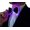 Purple, variant on LED Bow Tie- Adjustable Glowing Bow Tie for Parties, Weddings & Prom - light up tie