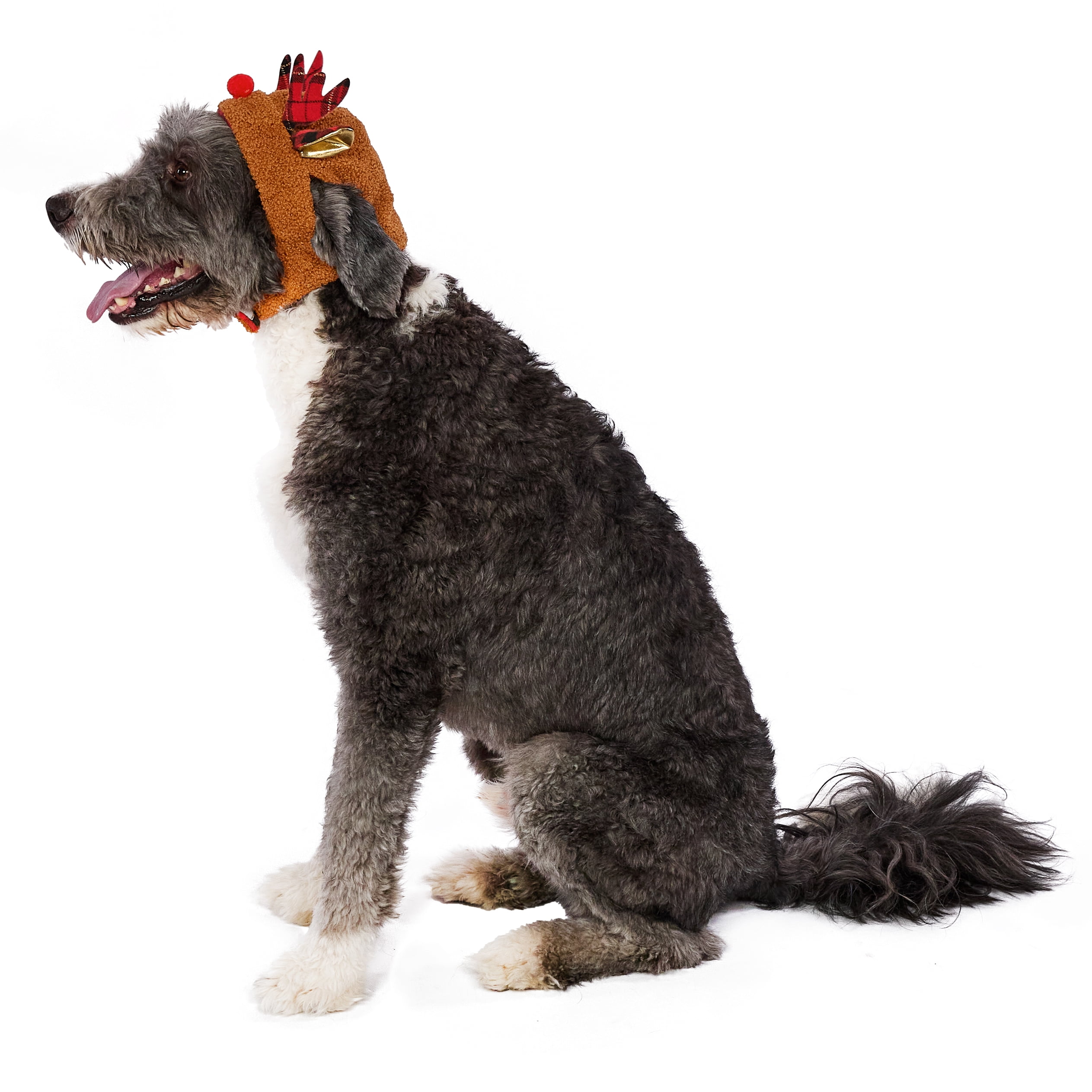 Vibrant Life Holiday Pet Reindeer Antlers Hat for Dogs, Brown, Medium/Large