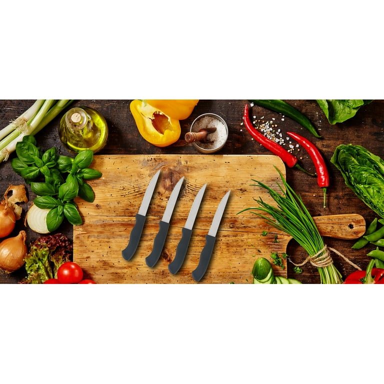 4 Pieces Micro serrated Steak Knives Set – Mopita