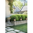 thumbnail image 4 of Hinkley Lighting - Beacon Hill - 3 Light Large Outdoor Post Top or Pier Mount, 4 of 5