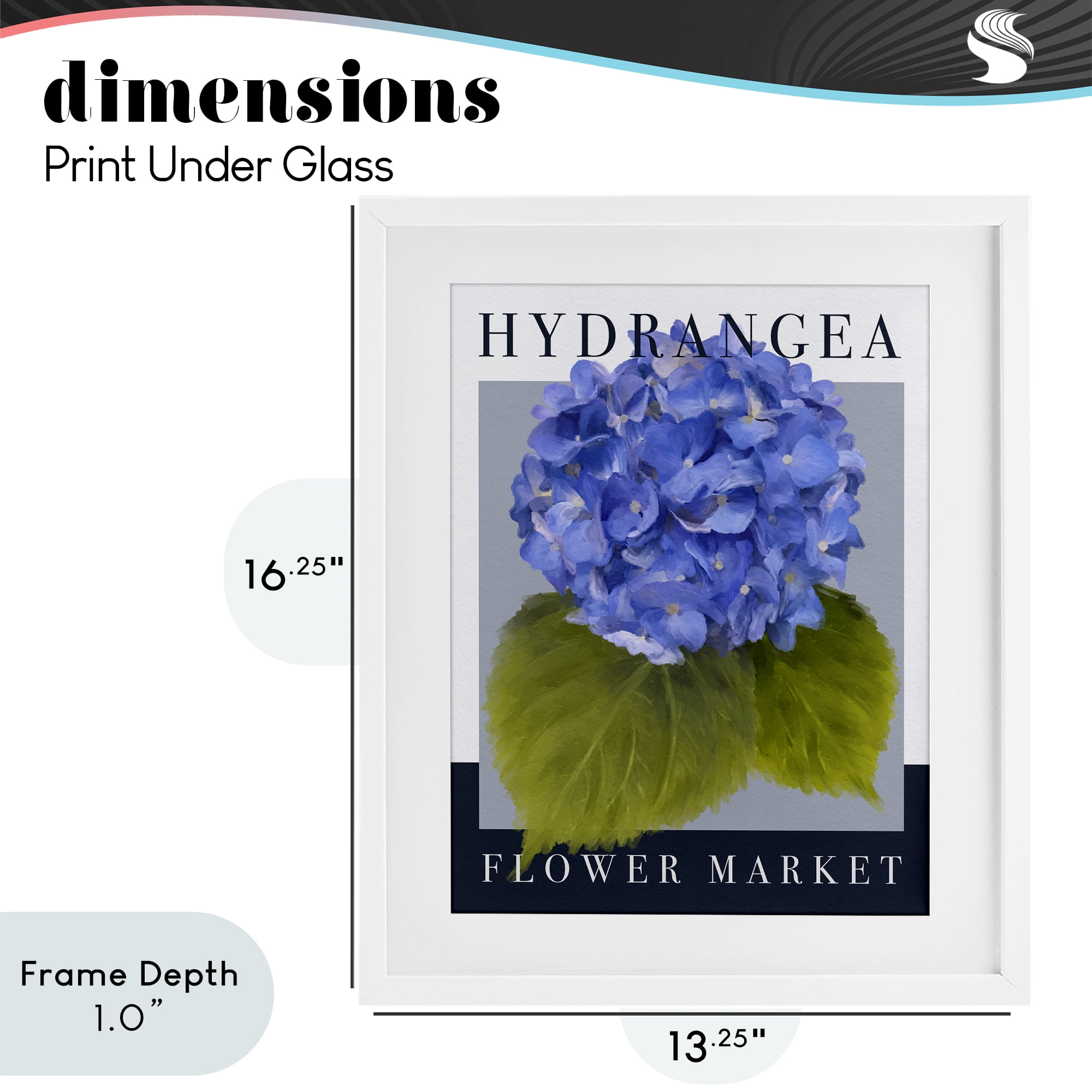 Stupell Industries Hydrangea Flower Market White Framed Print Under Glass, design by Jennifer Stith