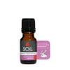 Organic Clary Sage Essential Oil - 10ml
