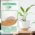 thumbnail image 6 of FIASON 6 Pack Self-Watering Plant Pots, White with Brown 5/5.5/6/6.5/7/8 Inch Planters with Watering Lip, Drainage Holes & Saucer for Indoor Outdoor Garden Plants, 6 of 10