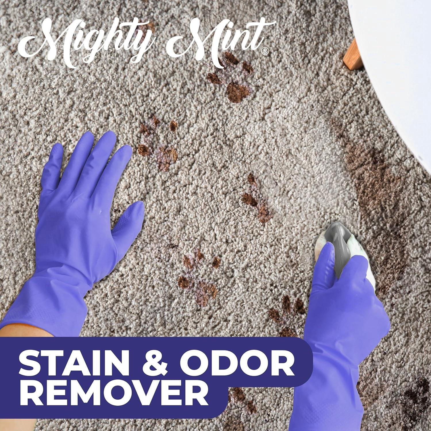 Stain & Odor Remover, Natural Enzyme Spray Safely Neutralizes Odor and Stains from Dogs, Cats on Carpet, Furniture, Natural Peppermint Scent, 16oz
