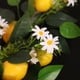 thumbnail image 3 of Guirnalda de Limón Al Revés de árbol Al Revés Decoraciones de Limones Falsos Colgante de Fiesta de Guirnalda de Hojas Falsas ANGGREK  Otros, 3 of 8