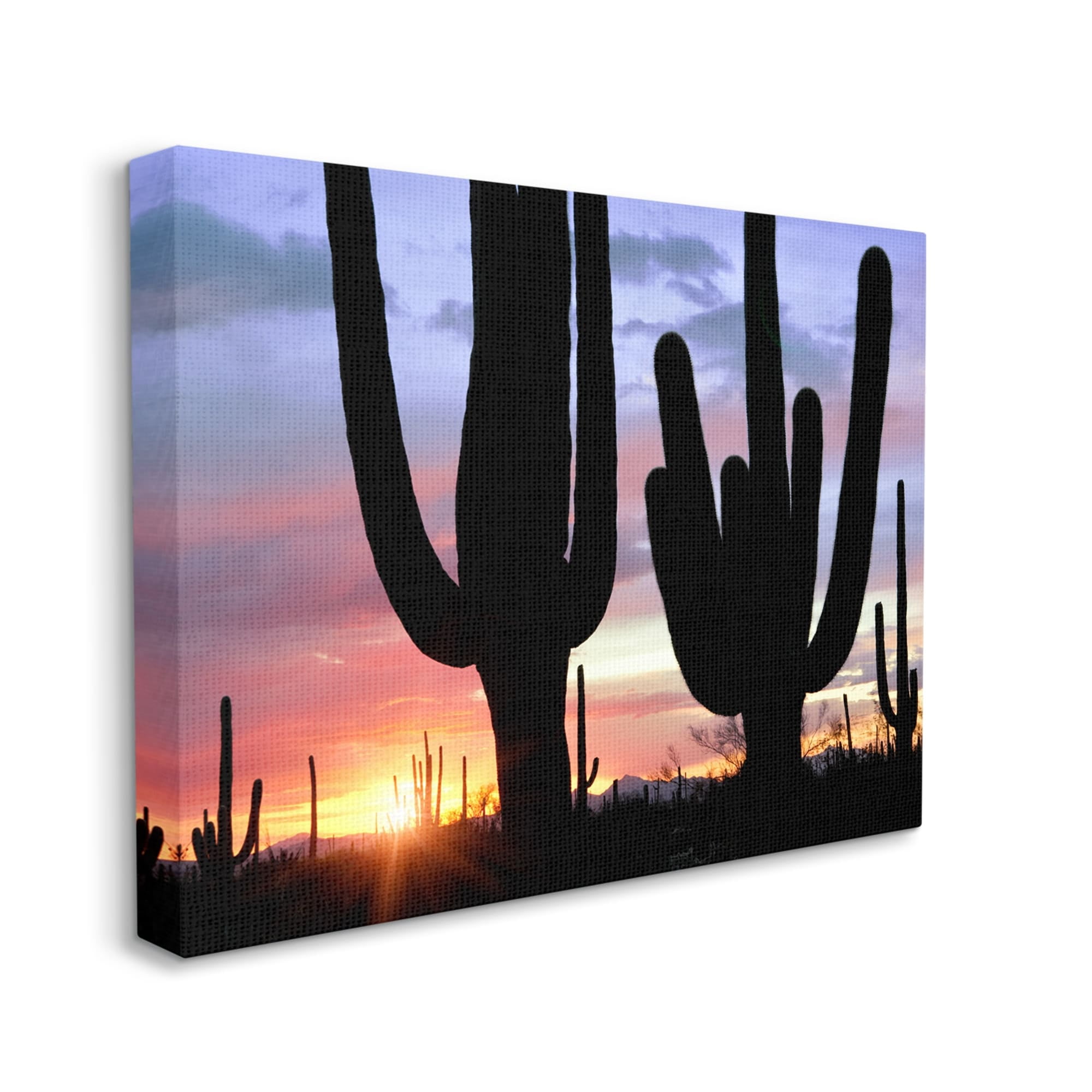Stupell Industries Desert Cactus Sunset Silhouettes Landscape Photography Gallery Wrapped Canvas Print Wall Art