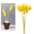 thumbnail image 2 of Hierbas secas Hierba seca natural Hierba de cola de conejo seca Ramo de flores secas amarillo, 2 of 5