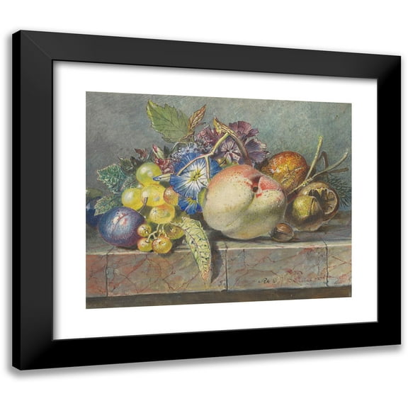 Albertus Steenbergen 14x12 Black Modern Framed Museum Art Print Titled - Fruit and Flower Still Life (1824 - 1900)
