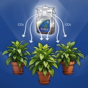 ExHale XL Self Activated 6 Month 288 Cubic Foot Gardening CO2 Grow Bag