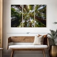 thumbnail image 3 of Elephant Stock Muir Wood California Redwoods Wall Art - Horizontal Multi Panel Canvas - Living Room Wall Decor - Floral And Botanical Multi Panel - Gray And Beige Decor - 50" x 32", 3 of 8