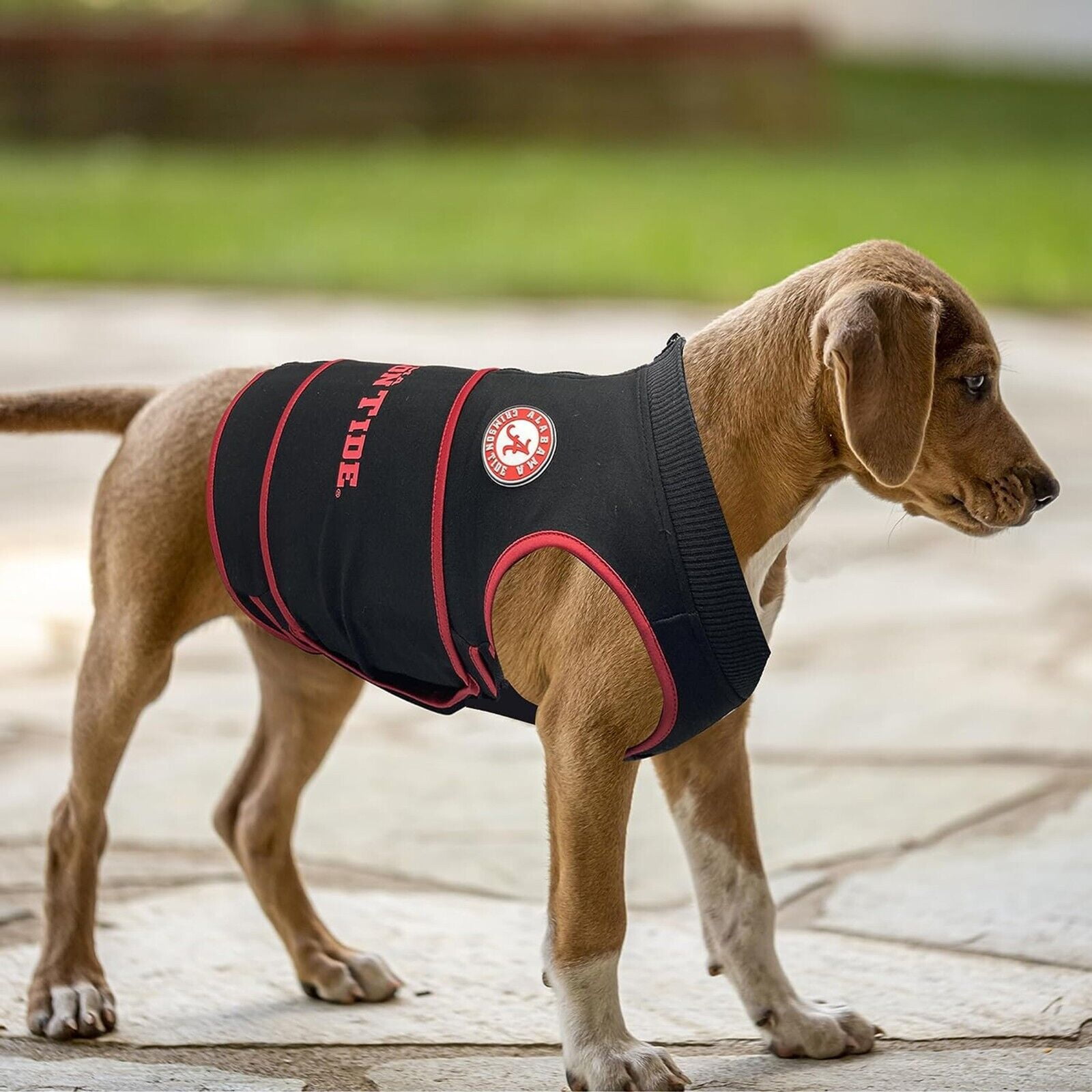 Pets First NCAA Alabama Crimson Tide Dog Anxiety Calming Shirt Soothing Solution Vest, Dogs & Cats Keeps Dogs Calm & Feeling Safe, Relaxing Jacket, Small