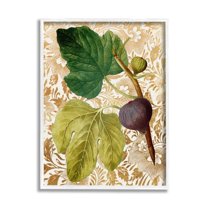 Stupell Industries Ornate Produce Fig Plant Pattern Botanical & Floral Painting White Framed Art Print Wall Art