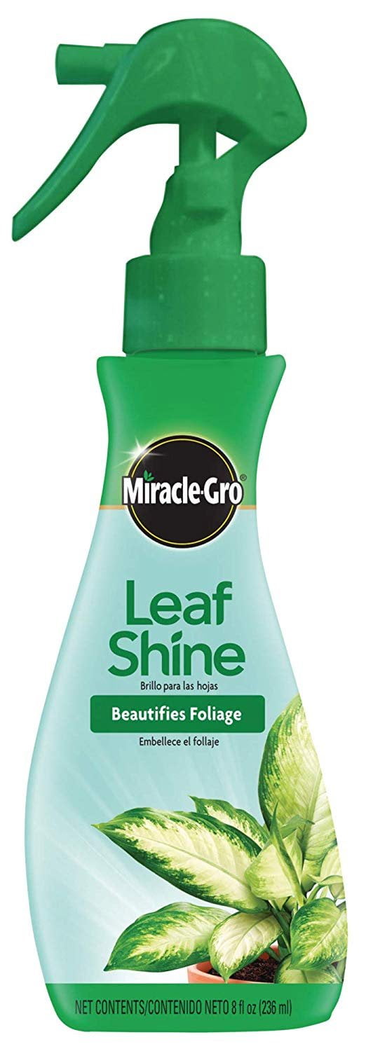 Miracle-Gro Leaf Shine, 8-Ounce