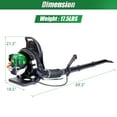 Backpack Leaf Blower 580CFM, 37.7cc 4 Stroke Gas Leaf Blower with