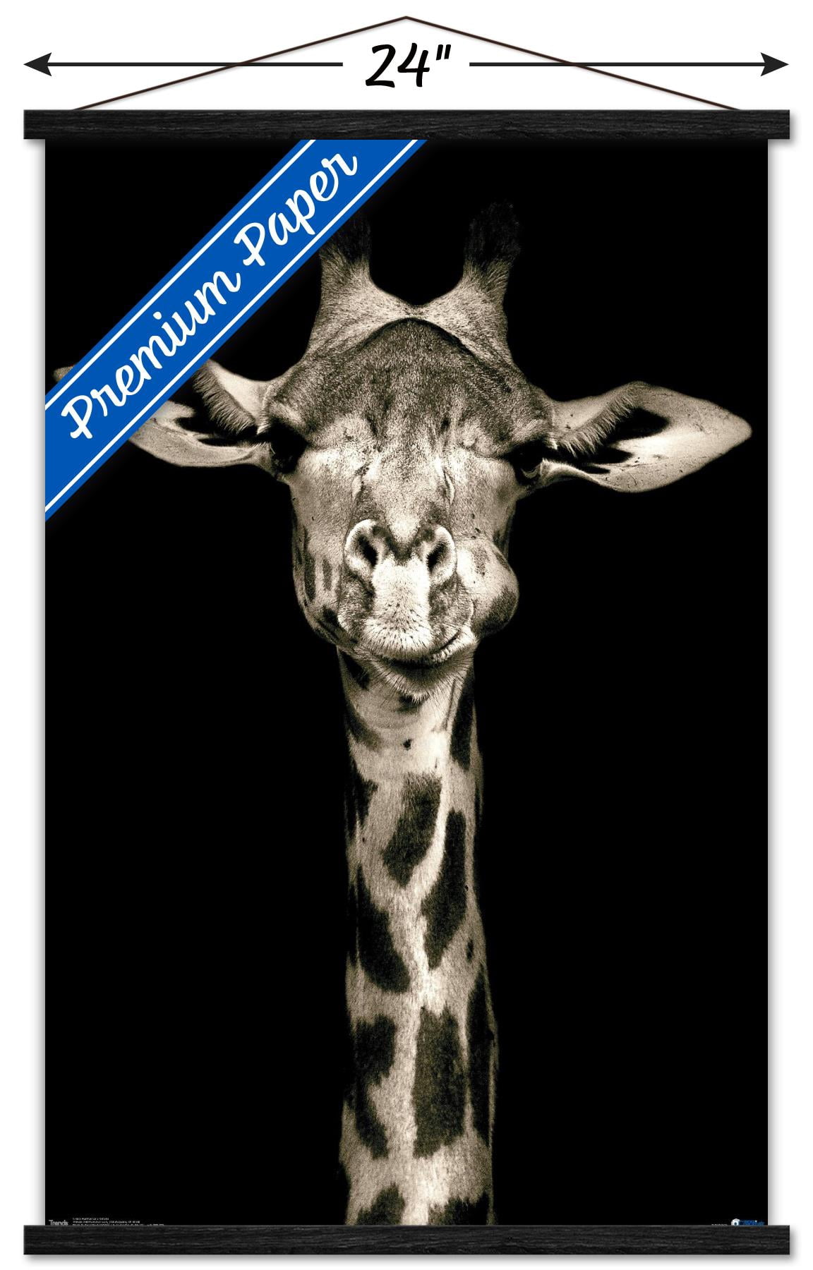 Portrait of a Giraffe Wall Poster with Wooden Magnetic Frame, 22.375" x 34"