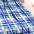 thumbnail image 3 of Blue and White Grid Pattern Blanket,Comfortable Soft Lamb Wool Throw Blanket,All Season,Warm Lightweight Blankets for Sofa Bed Couch Living Room Chair,30"x40", 3 of 4