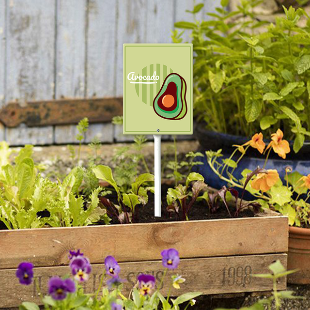 Eveokoki Vegetable Signs For Garden With Stake Avocado Yard Sign Vegetable Garden Label Stakes Plant Markers For Outdoor Plants Waterproof 8x12inch Nursery Garden Fruit Outdoor Sign