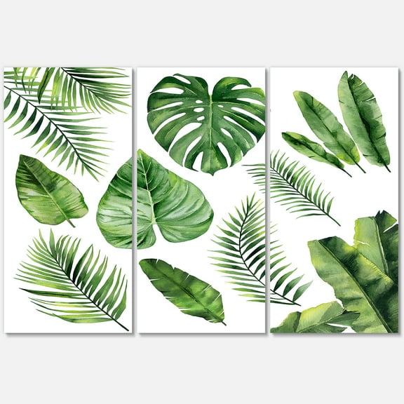 Designart ' Close Up Of Tropical Leaf Of Monstera V ' Farmhouse Canvas Wall Art Print