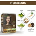 thumbnail image 4 of Herbishh Dark Brown Hair Color Shampoo for Gray Hair, Hair Dye Shampoo 3 in 1, 100% Gray Coverage, Permanent Hair Color for Men & Women, Ammonia-free, (10pack+1pack), 4 of 5