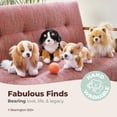 thumbnail image 3 of Peluche Bearington Chichi Chihuahua Dog 13 pulgadas, 3 of 6