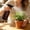 Brown, variant on Cleaning Spray Bottles for Greenery Misters Inside, 1 Pack 400ML Squirt, Water Spray Bottle Mist Sprayer, No Leak Hair Mister Empty Adjustable Nozzle(Green)